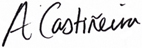 Alfonso Casti?era signature