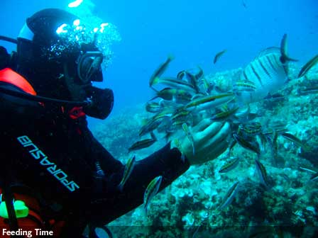 scuba diving 02
