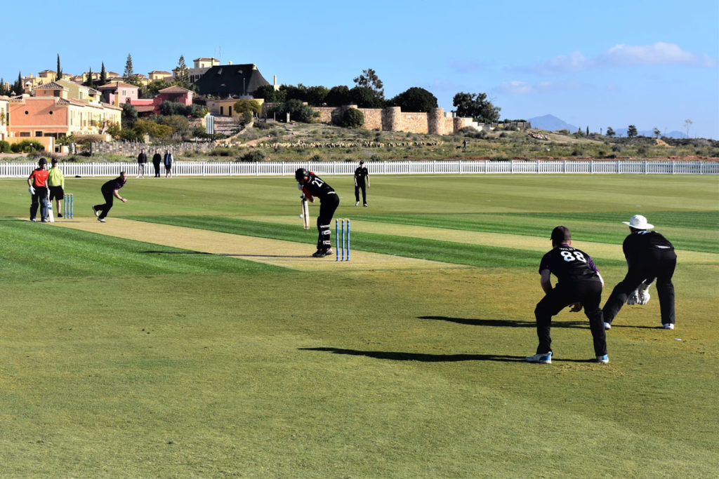 Bear-Game-Slips-and-batter