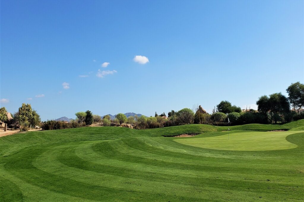 THE INDIANA COURSE HOLE 14 'TIBURON'